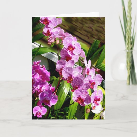 happy moederdag card kaart (Voorkant)