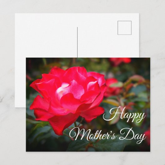 Happy Moederdag Cherry Parfait Roos #2 Briefkaart (Voorkant / Achterkant)