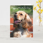 Happy Moederdag Cocker spaniel wenskaart Kaart (Gele Bloem)