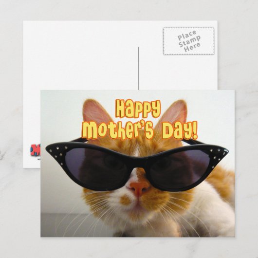 Happy Moederdag Cool Cat in Zonnebril Briefkaart (Voorkant / Achterkant)
