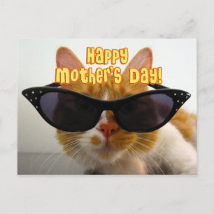 Happy Moederdag Cool Cat in Zonnebril Briefkaart