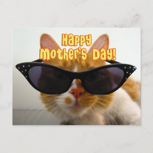 Happy Moederdag Cool Cat in Zonnebril Briefkaart (Voorkant)