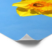 Happy Moederdag Daffodils Gold Medal Poster (Hoek)