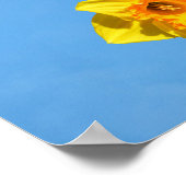 Happy Moederdag Daffodils Gold Medal Poster (Hoek)