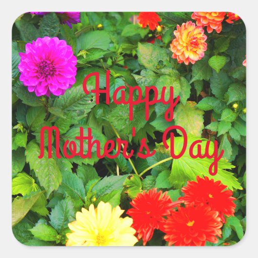 Happy Moederdag Diverse Dahlias #1-1 Stickers (Voorkant)