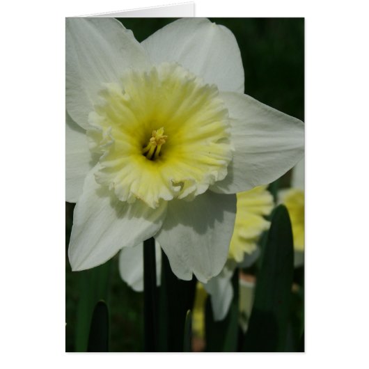 Happy Moederdag Flower (Voorkant)