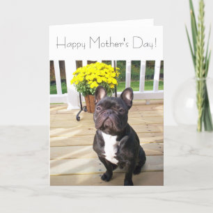 Happy Moederdag French Bulldog met Flowers Card Kaart