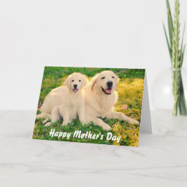 Happy Moederdag Golden Retriever Dogs Animal Kaart