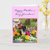 Happy Moederdag Grandma Boston Terrier kaart (Gele Bloem)
