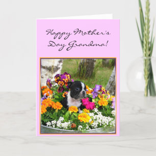 Happy Moederdag Grandma Boston Terrier kaart