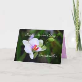 Happy Moederdag Grandother Phalaenopsis Orchid Kaart