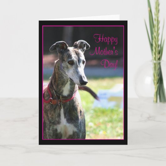 Happy Moederdag Greyhound wenskaart Kaart (Voorkant)