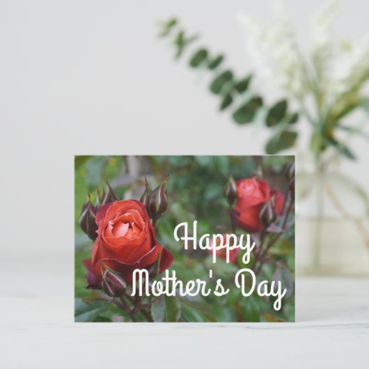 Happy Moederdag Hot Cocaca Roos #1 Briefkaart (Staand voorkant)