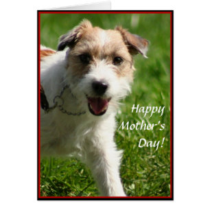 Happy Moederdag Jack Russell Terrier-kaart