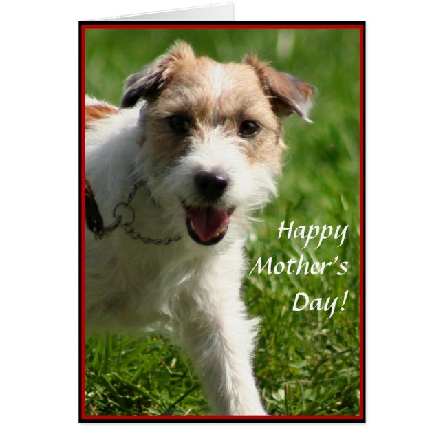 Happy Moederdag Jack Russell Terrier-kaart (Voorkant)