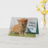 Happy Moederdag Kitten Kaart (Gele Bloem)