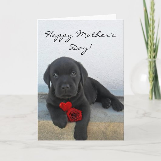 Happy Moederdag Labrador puppykaart Kaart (Voorkant)