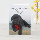 Happy Moederdag Labrador puppykaart Kaart (Gele Bloem)