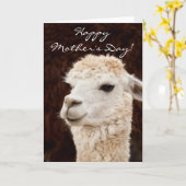 Happy Moederdag lama wenskaart Kaart (Gele Bloem)
