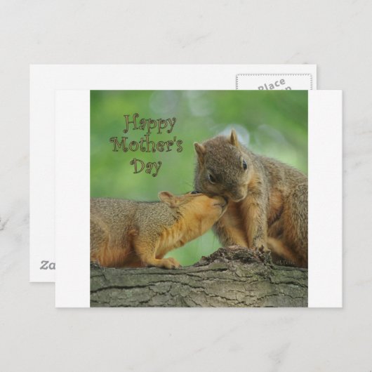 Happy Moederdag - Mam en Baby Eekhoorn Briefkaart (Voorkant / Achterkant)