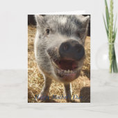 Happy Moederdag, Mini Pig Wenskaart, Kaart (Voorkant)