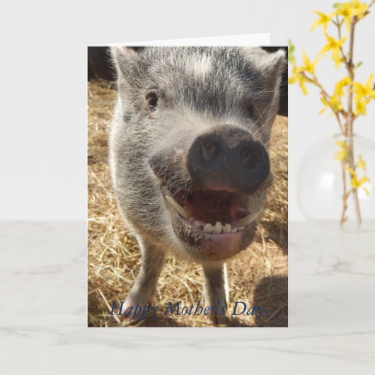 Happy Moederdag, Mini Pig Wenskaart, Kaart (Gele Bloem)
