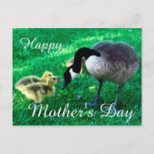 Happy Moederdag - Moeder Goose Briefkaart (Voorkant)