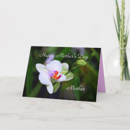 Happy Moederdag Moeder Phalaenopsis Orchid Card Kaart