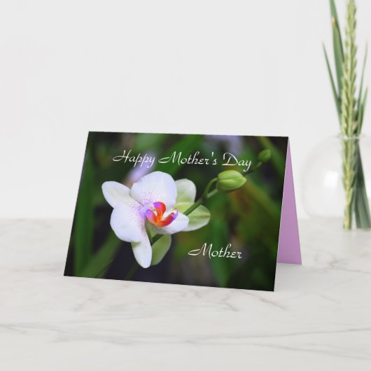 Happy Moederdag Moeder Phalaenopsis Orchid Card Kaart (Voorkant)