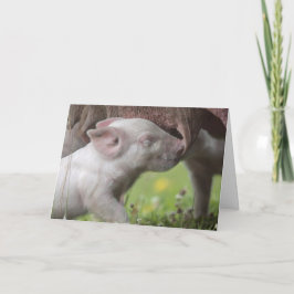 Happy Moederdag Nursing Piglet Kaart