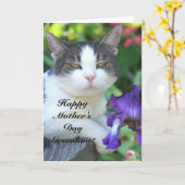 Happy Moederdag oma Cat in de tuin Kaart (Gele Bloem)
