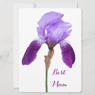 Happy Moederdag  paarse iris floral 4 mum Feestdagenkaart