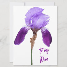 Happy Moederdag  paarse iris floral