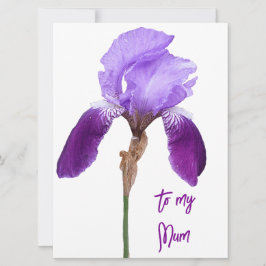 Happy Moederdag paarse iris floral Feestdagenkaart