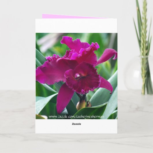 Happy Moederdag Paarse Phalaenopsis Orchidee Kaart (Achterkant)