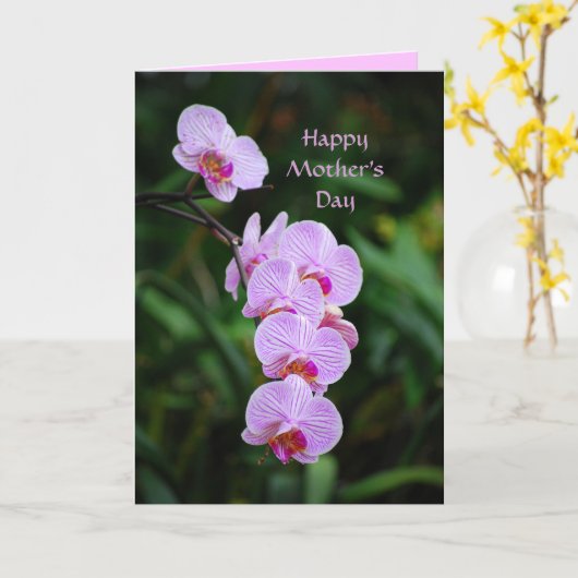 Happy Moederdag Paarse Phalaenopsis Orchidee Kaart (Gele Bloem)