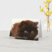Happy Moederdag persian kitten wenskaart Kaart (Gele Bloem)