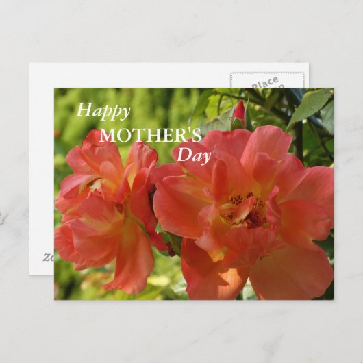 Happy Moederdag Pink Roses Briefkaart (Voorkant / Achterkant)