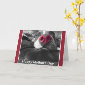 Happy Moederdag Pitbull Wenskaart Kaart (Gele Bloem)