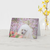 Happy Moederdag Poodle dog wenskaart Kaart (Gele Bloem)