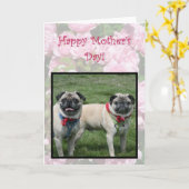 Happy Moederdag pugs wenskaart Kaart (Gele Bloem)