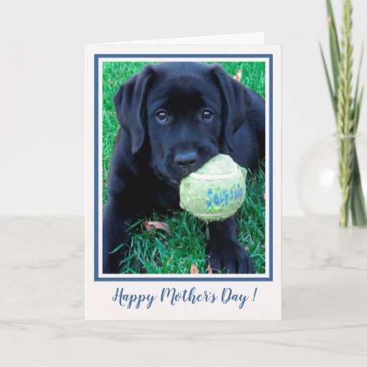 Happy Moederdag Puppy Black Labrador - Cute Dog Kaart (Voorkant)