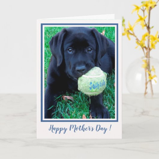 Happy Moederdag Puppy Black Labrador - Cute Dog Kaart (Gele Bloem)
