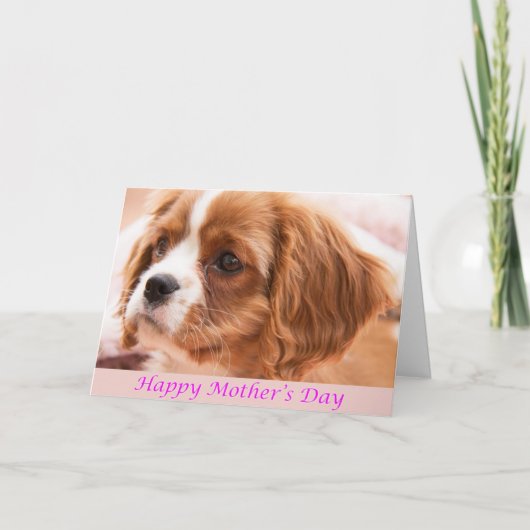 Happy Moederdag Puppy CKCS-Kaart Kaart (Voorkant)