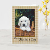 Happy Moederdag Puppy in een mandje Kaart (Gele Bloem)