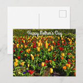 Happy Moederdag Red & Yellow Tulips#1 Briefkaart (Voorkant / Achterkant)