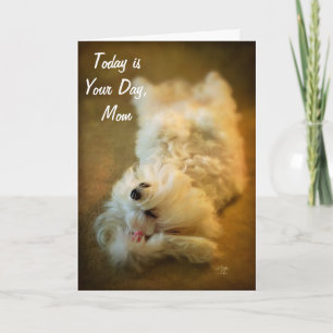Happy Moederdag Relaxing Dog Card van Lois Bryan Kaart
