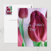Happy Moederdag Rosey Tulips Briefkaart (Voorkant / Achterkant)