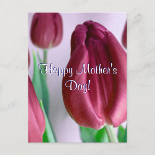 Happy Moederdag Rosey Tulips Briefkaart