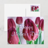 Happy Moederdag Rosey Tulips Briefkaart (Voorkant / Achterkant)
